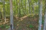 0 Harris Ridge Drive - Photo 11