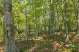 0 Harris Ridge Drive - Photo 5