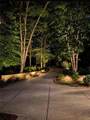 2014 Palmetto Dunes Court - Photo 35