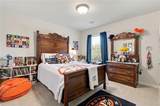 4665 Dandelion Way - Photo 30