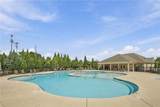 4665 Dandelion Way - Photo 48