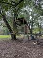 1328 Abrams Road - Photo 86