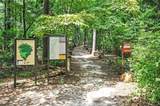 1233 Parkview Lane - Photo 49