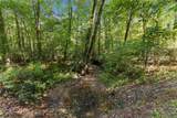 1014 Alpine Drive - Photo 47