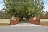 871 Robinson Road - Photo 5