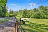 519 Pinecrest Road - Photo 80