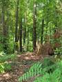 1077 Crooked Creek Road - Photo 3