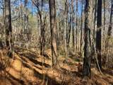 0 Wallace Tatum Road - Photo 1