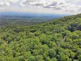 3023 Wild Turkey Bluff - Photo 13