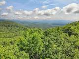3023 Wild Turkey Bluff - Photo 5