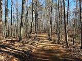 0 Paris Mountain Road - Photo 10