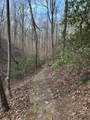 0 Paris Mountain Road - Photo 19