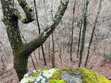 0 Paris Mountain Road - Photo 7