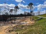 134 Twisted Oak Road - Photo 11