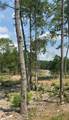 134 Twisted Oak Road - Photo 18