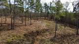 LT 108 Blalock Mountain Road - Photo 6