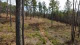 LT 108 Blalock Mountain Road - Photo 8