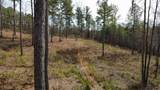 LT 108 Blalock Mountain Road - Photo 9