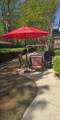 4809 Shae Court - Photo 25