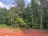 110 Liberty Freedom Lane - Photo 45
