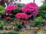 251 Beverly Road - Photo 37