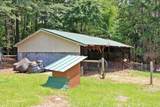 3129 Etchison Road - Photo 41