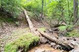 90 Cardinal Cove - Photo 4