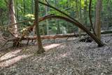 90 Cardinal Cove - Photo 6