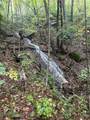 1298 Cold Stream Trail - Photo 2