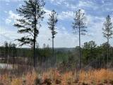 LT 123 Blalock Mountain Rd Road - Photo 11