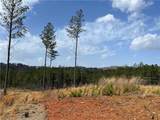 LT 123 Blalock Mountain Rd Road - Photo 12