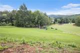 312 White Pine Trail - Photo 43