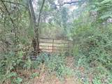 00 Lewis Road - Photo 2