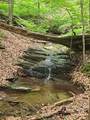 1649 Moss Patch Trail - Photo 11