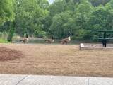 1226 Lucan Lane - Photo 40