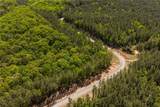 #3 Lone Bear Path Path - Photo 1