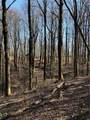6180 Burnt Mountain Road - Photo 8