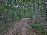 0 Big Creek Road - Photo 7