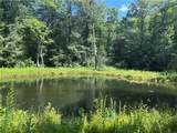 1038 Wilkins Cove Road - Photo 56