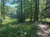 1038 Wilkins Cove Road - Photo 58