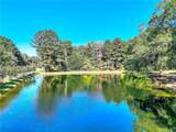 3520 Tom Brewer Road - Photo 44