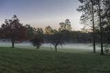 LOT 40 Preserve Trail - Photo 26