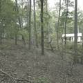 1251 Rambling Road - Photo 10