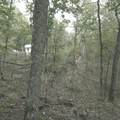 1251 Rambling Road - Photo 11