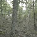 1251 Rambling Road - Photo 12