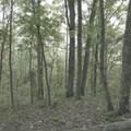 1251 Rambling Road - Photo 13