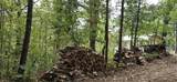 1251 Rambling Road - Photo 4