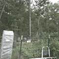 1251 Rambling Road - Photo 5