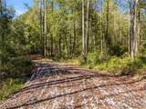0000 Hog Liver Road - Photo 1
