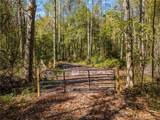 0000 Hog Liver Road - Photo 2